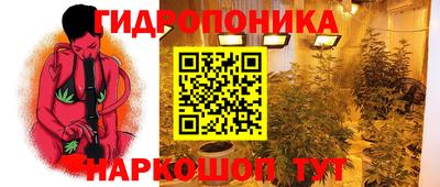 прущие грибы Первоуральск