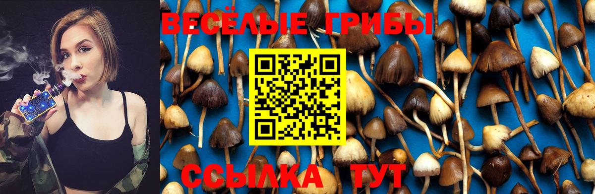 Галлюциногенные грибы мицелий Сальск