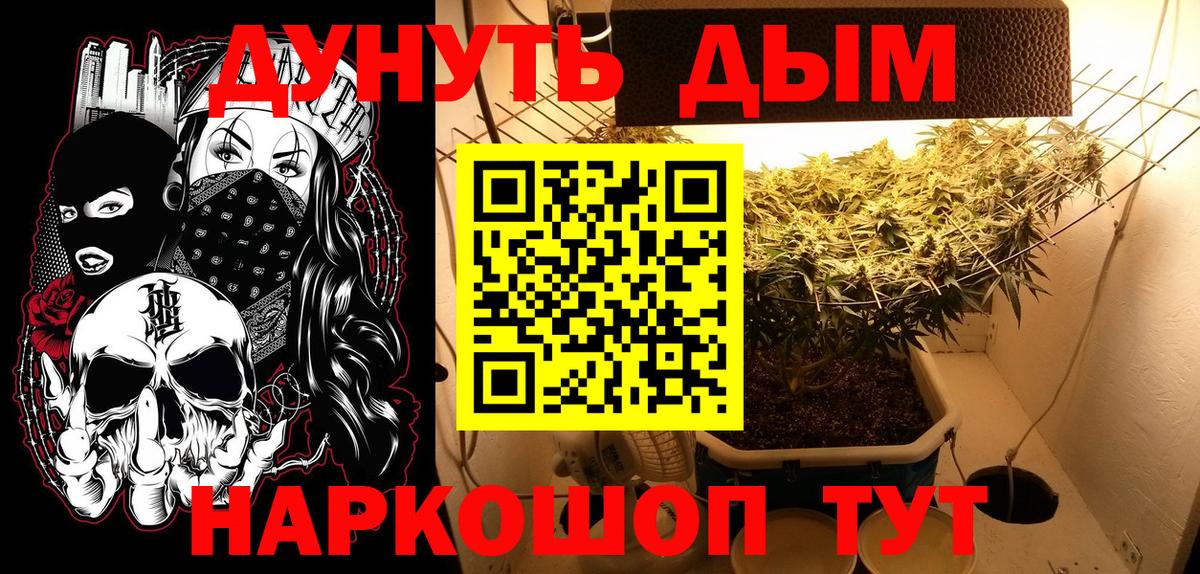 Бошки марихуана Amnesia Сальск